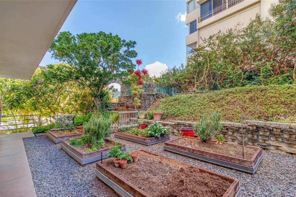 999_Wilder_-_Community_Garden