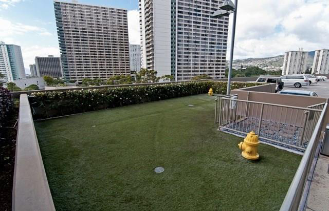 Capitol Place – Dog Park
