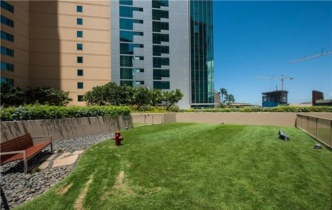 Hokua – Dog Park