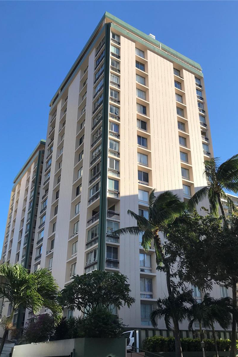 The Palms – Featured